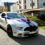 Ford_Mustang_Roush